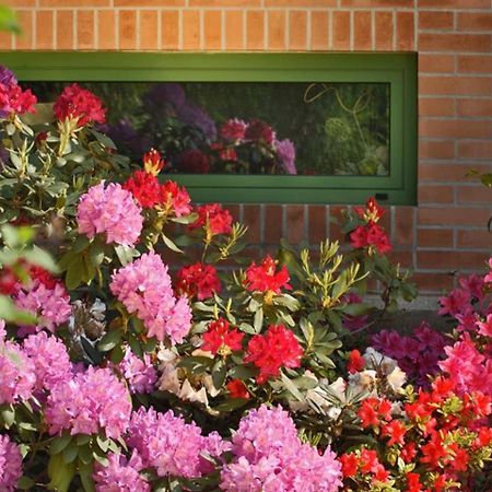 Villa Delle Ortensie Tavagnacco Exteriör bild